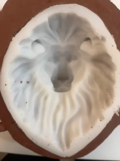 TALLER AVANZADO MOLDES DE SILICONA y POSITIVOS EN RESINAS